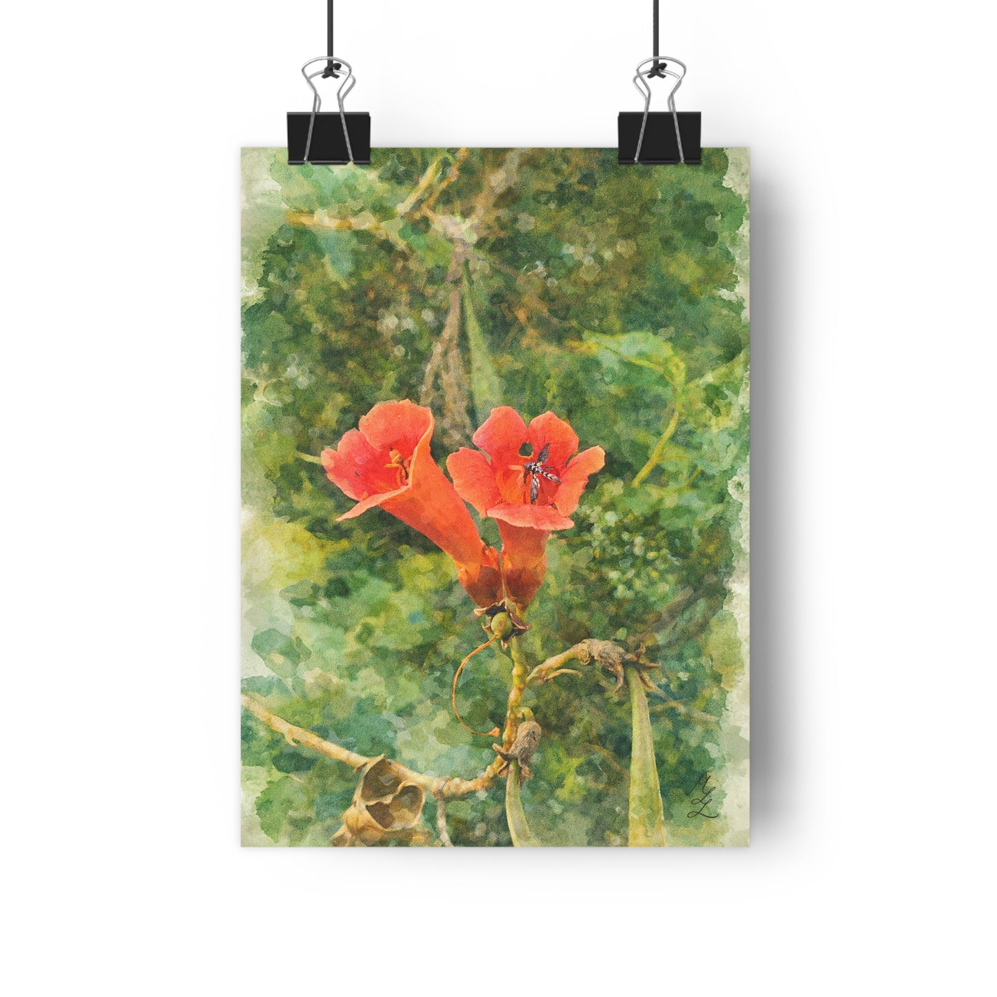 Brief Company, Watercolor Art Print