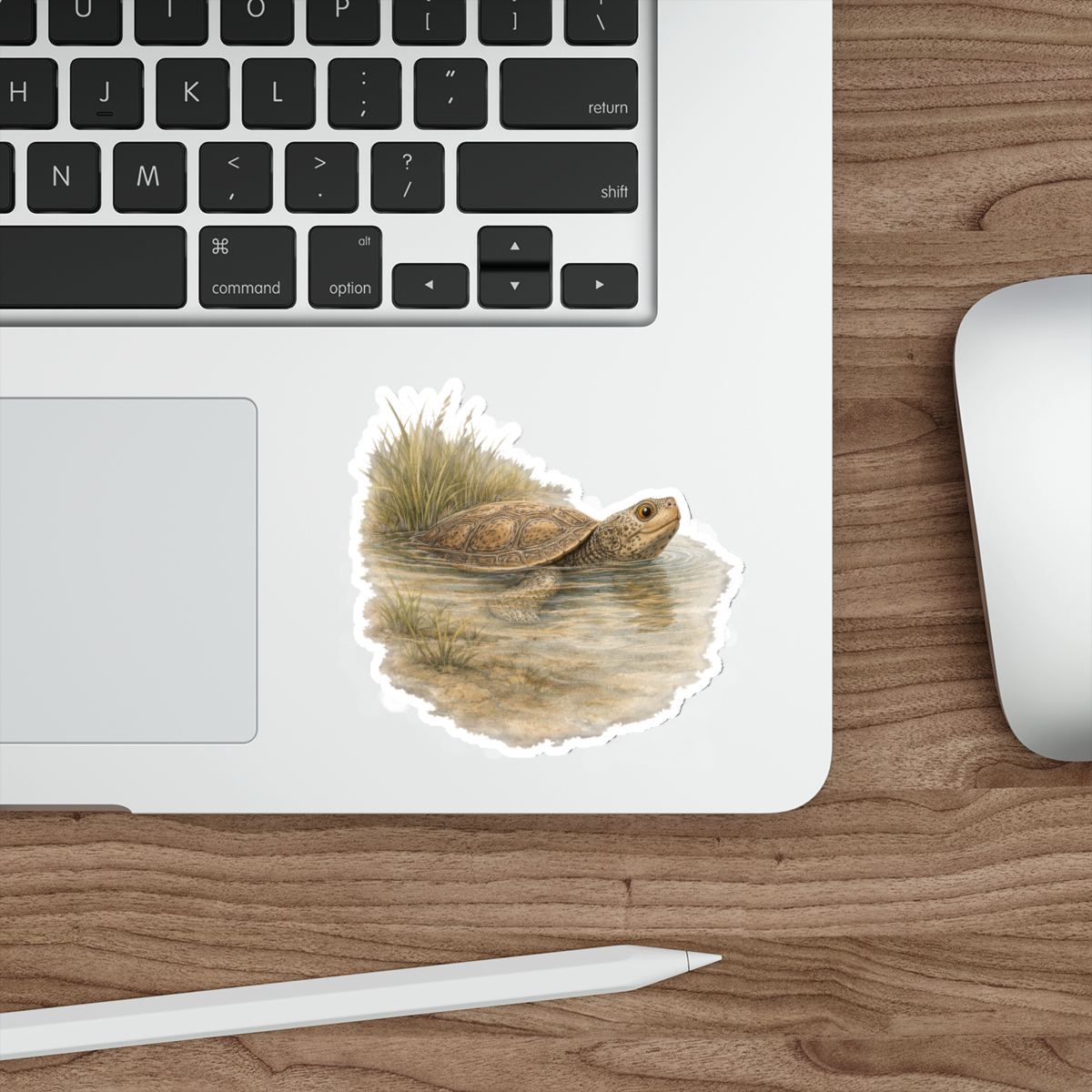 Toni the Terrapin, Matte Vinyl Die-Cut Sticker