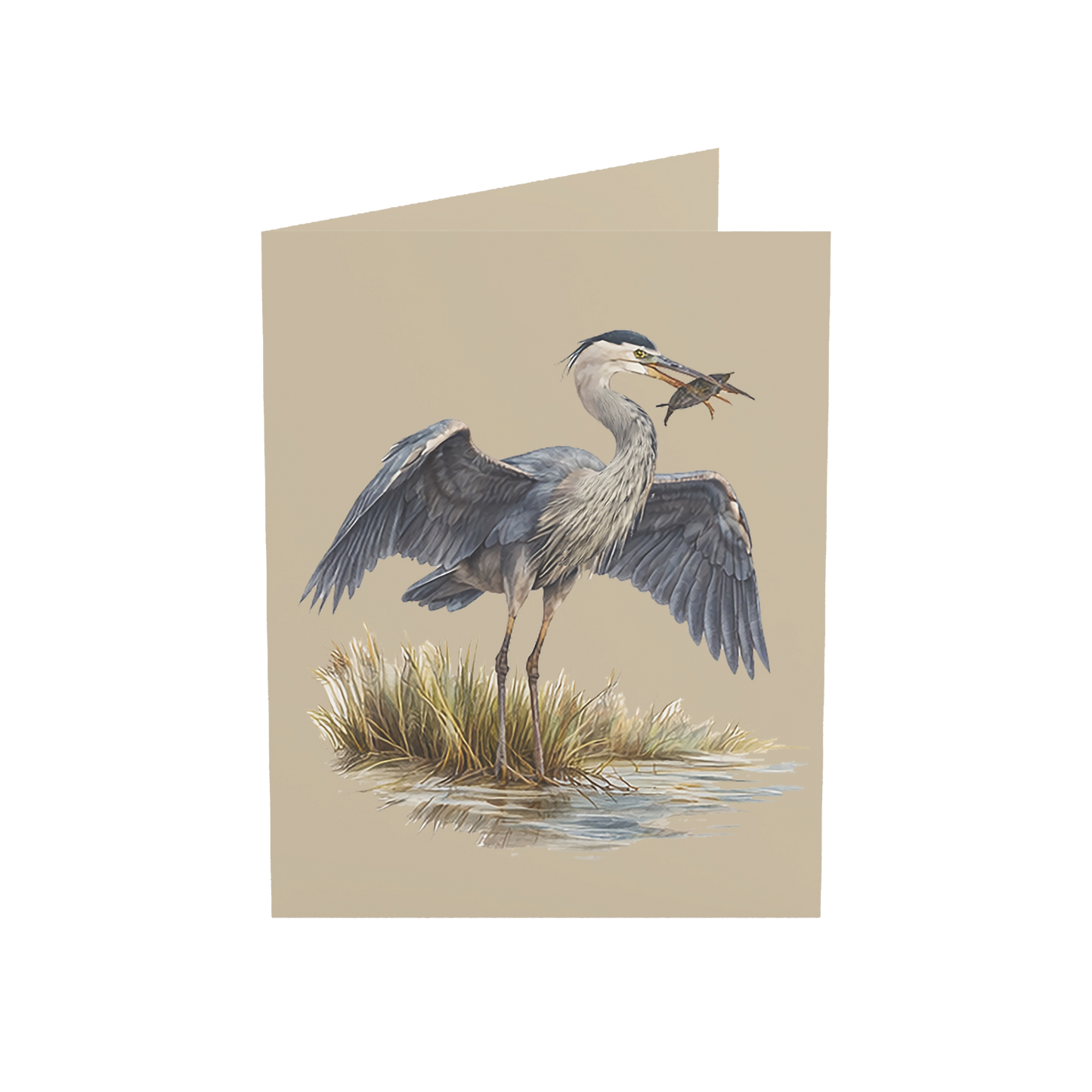 Coastal Heron Greeting Cards, 10ct