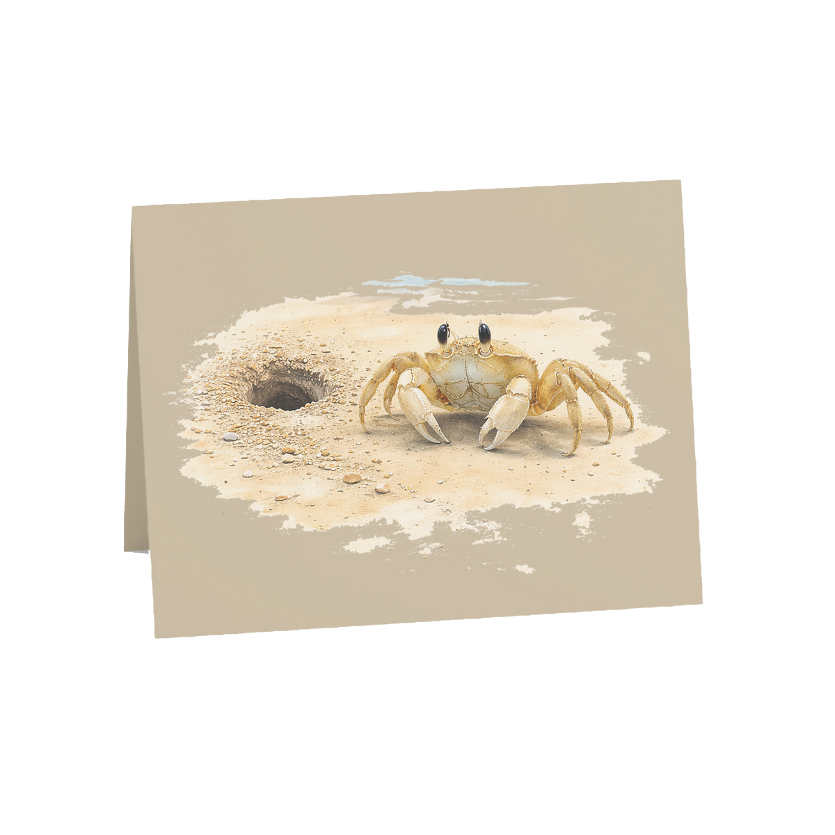 Coastal Ghost Crab Greeting Cards, 10ct