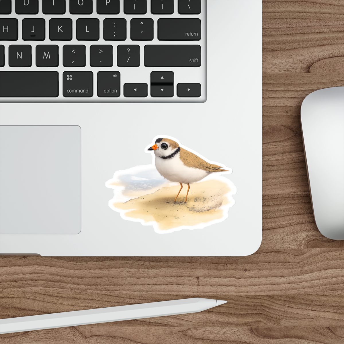 Pippin the Plover, Matte Vinyl Die-Cut Sticker
