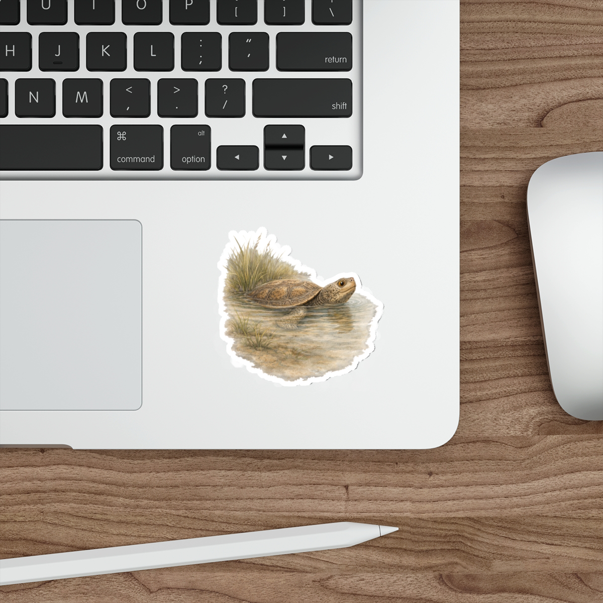 Toni the Terrapin, Matte Vinyl Die-Cut Sticker