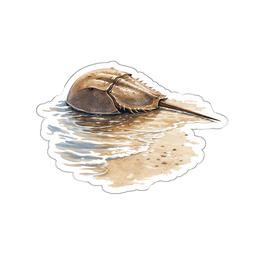 Remi the Horseshoe Crab, Matte Vinyl Die-Cut Sticker