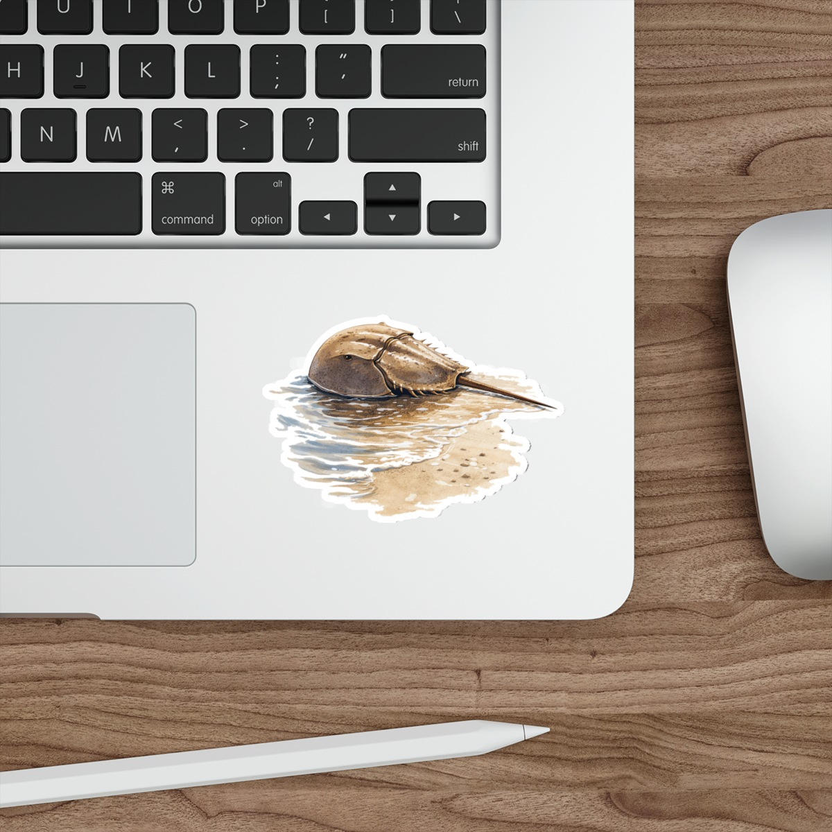 Remi the Horseshoe Crab, Matte Vinyl Die-Cut Sticker