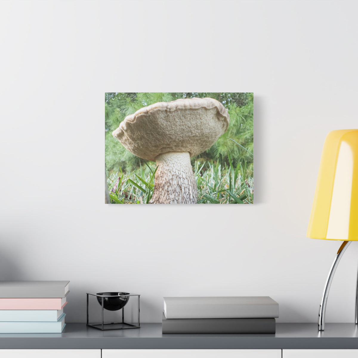 Senthyr Field Study No. 3: “The Architect” – Mushroom Stretched Canvas, 16 x 12 in