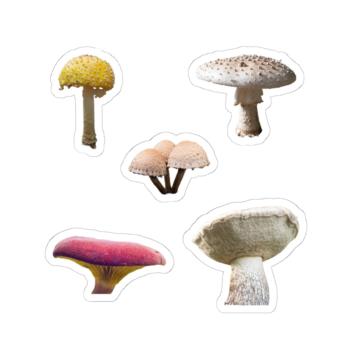 Mushroom Council – Senthyr Kiss-Cut Sticker Sheet