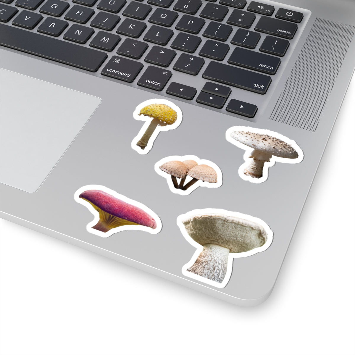 Mushroom Council – Senthyr Kiss-Cut Sticker Sheet