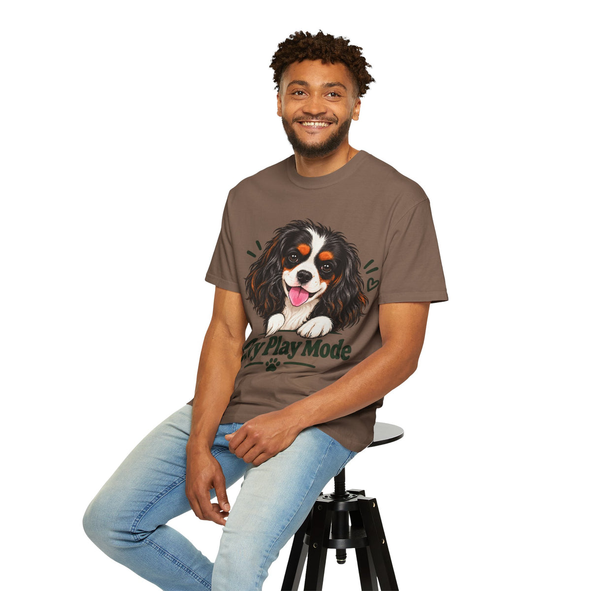Cavalier King Charles Play Mode T-Shirt