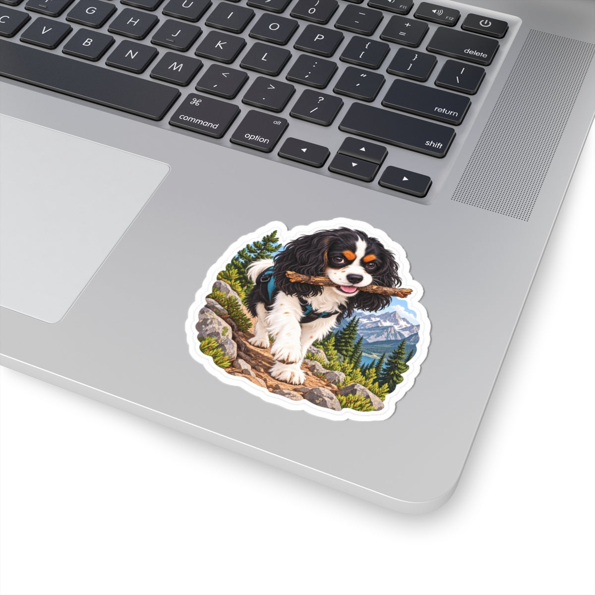 Trail Stick Cavalier sticker displayed on a laptop.