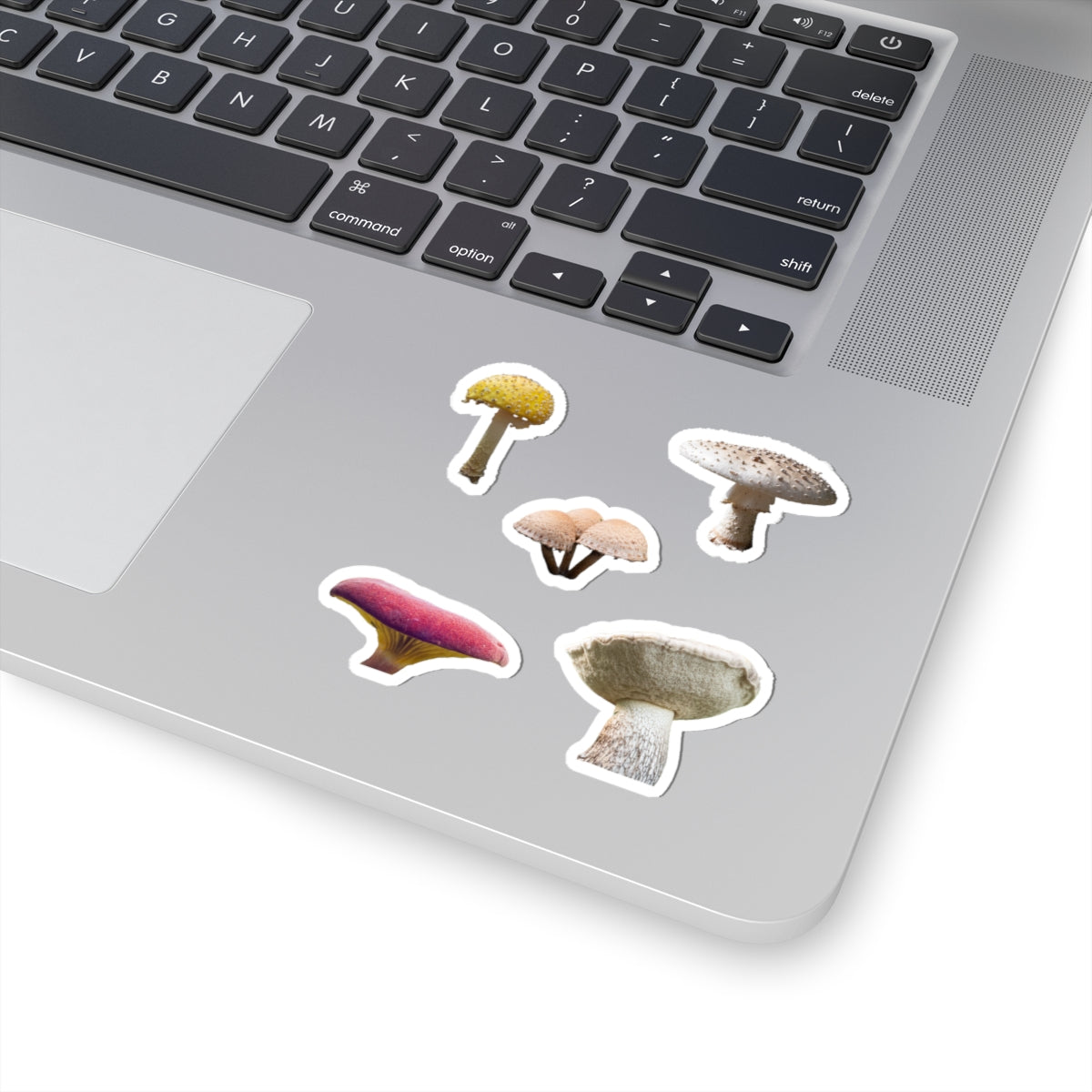 Mushroom Council – Senthyr Kiss-Cut Sticker Sheet