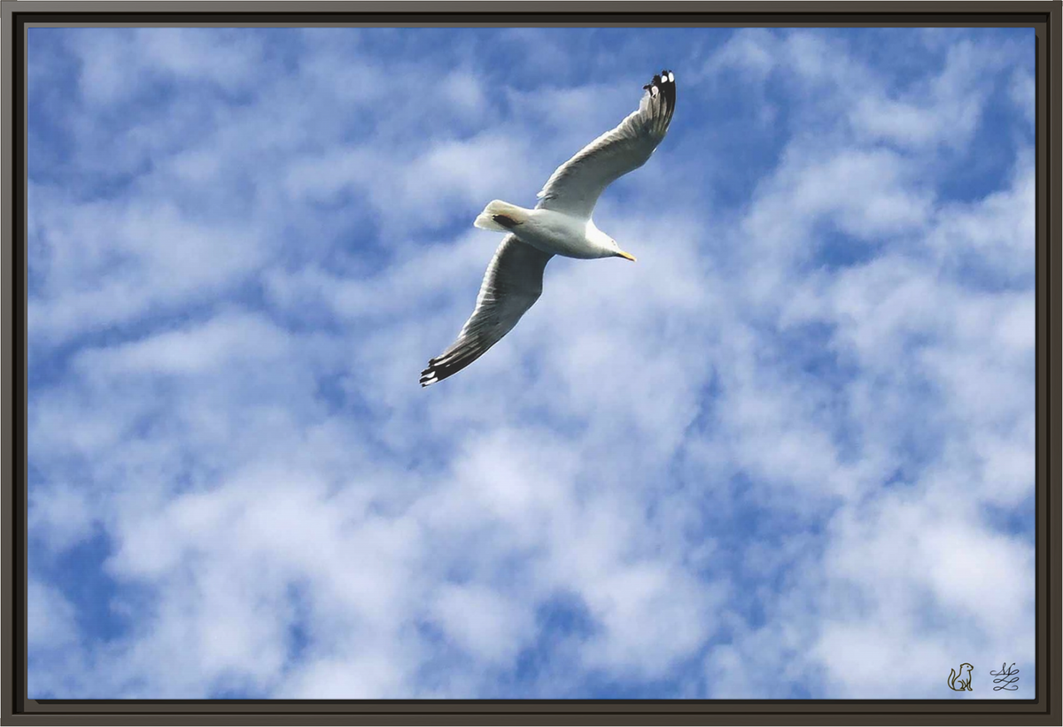 Flight of Solace Framed Matte Canvas Print