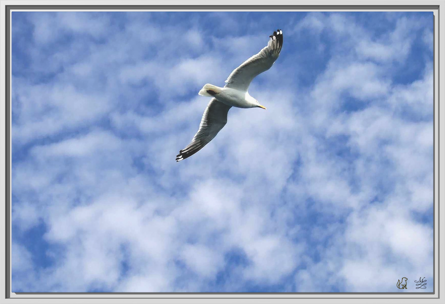 Flight of Solace Framed Matte Canvas Print